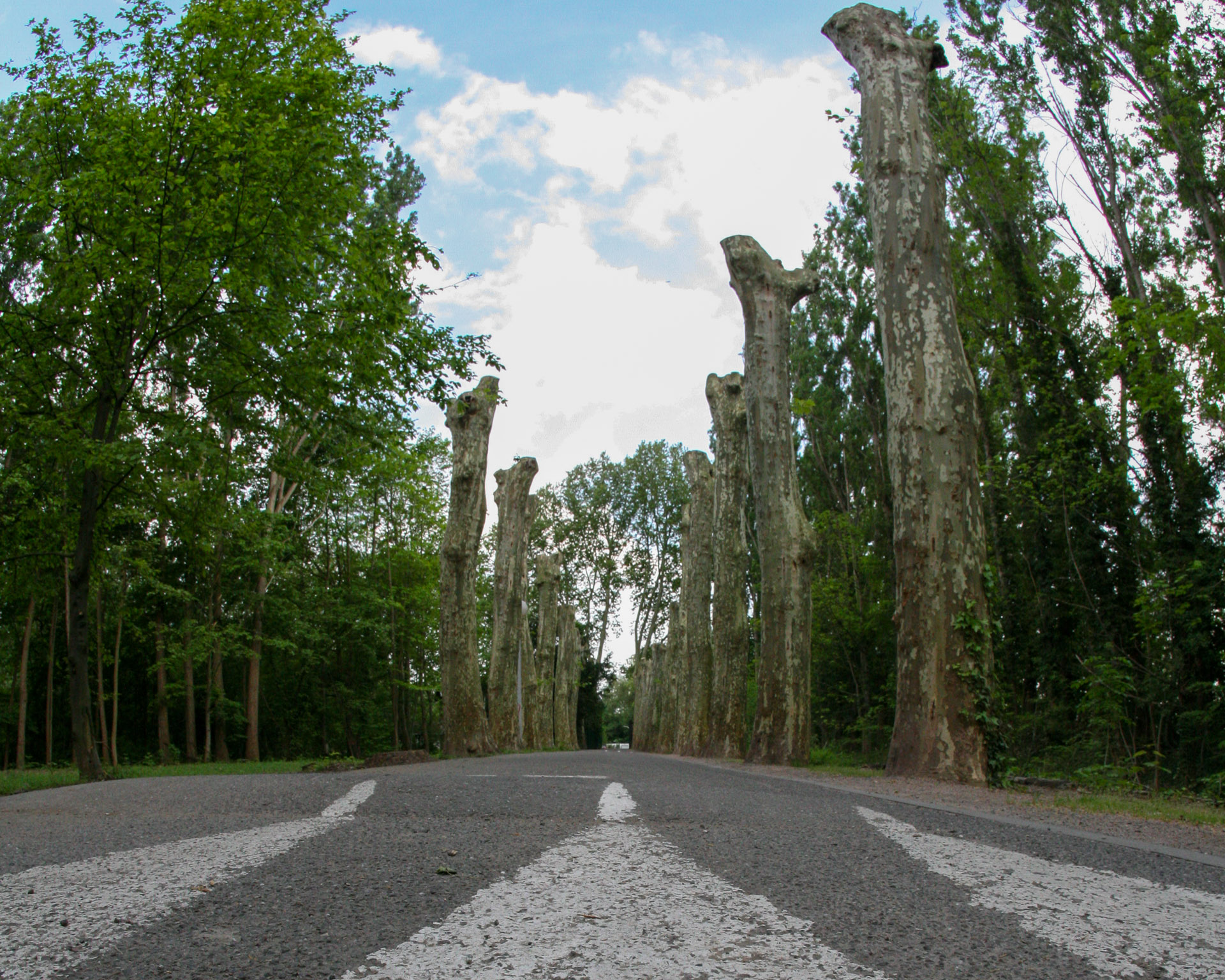 20070428173027 IMG 5111